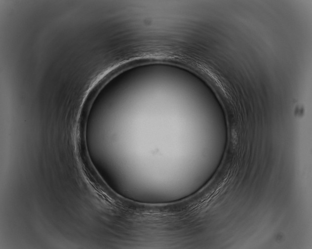 X0000100930532200806241140