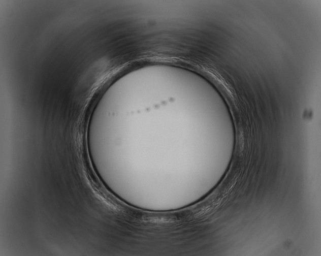 X0000100930533200806241140