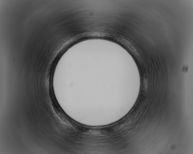 X0000100930534200806241140