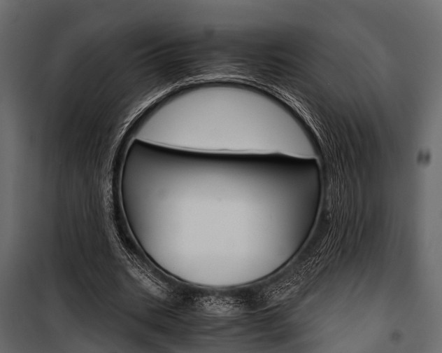 X0000100930535200806241140