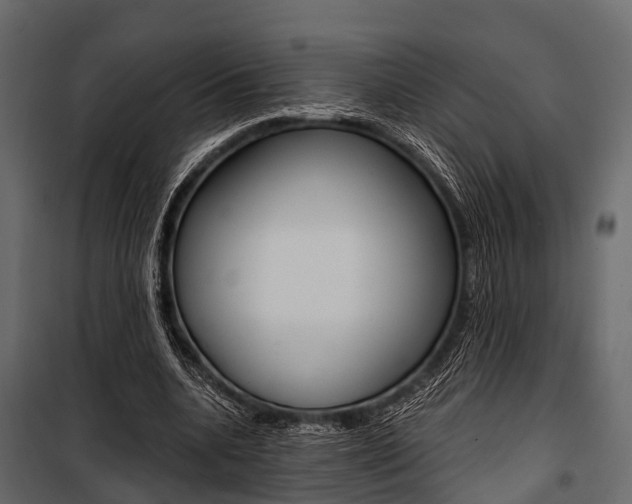 X0000100930536200806241140