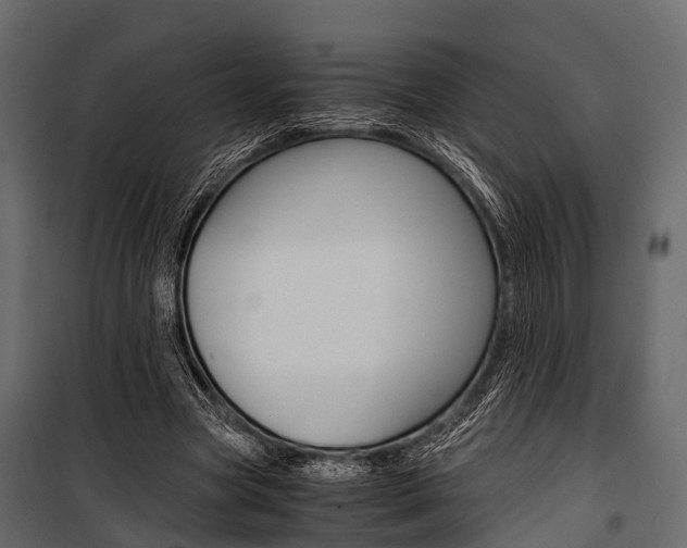 X0000100930537200806241140