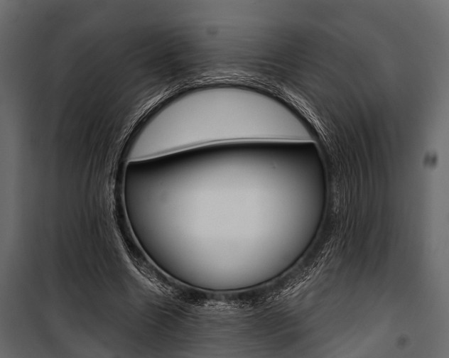 X0000100930538200806241140