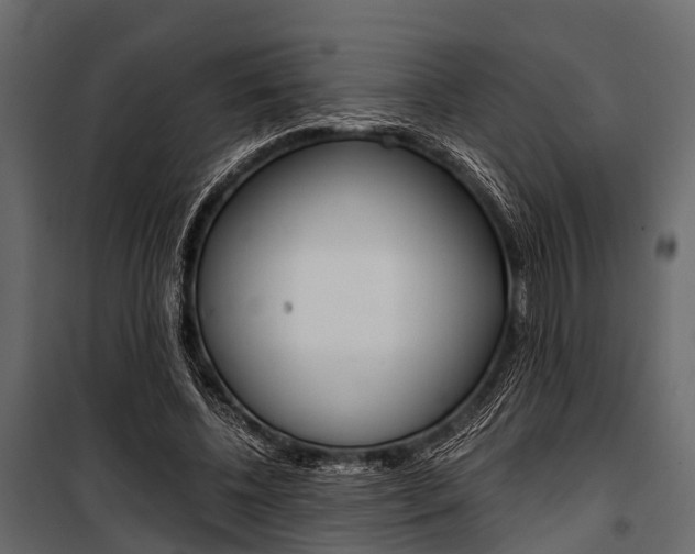 X0000100930540200806241140