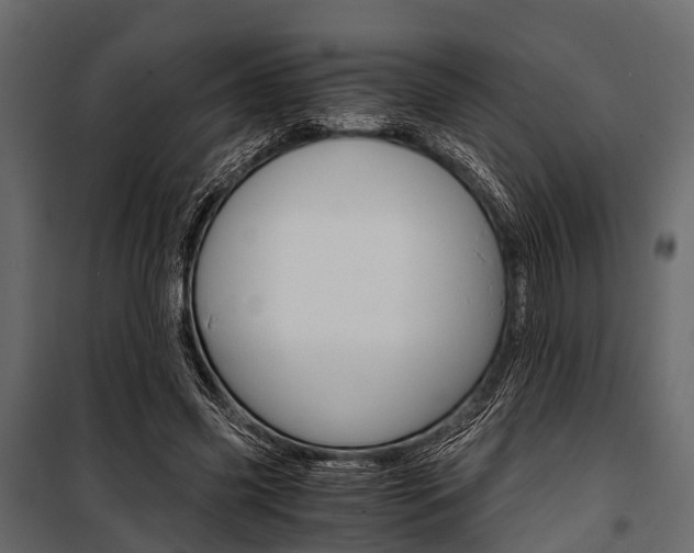 X0000100930541200806241140