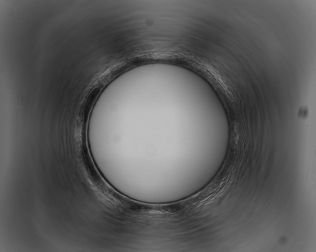 X0000100930542200806241140