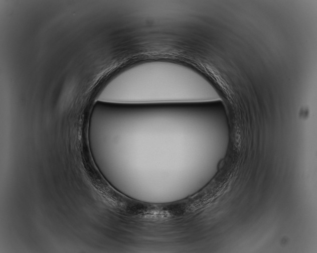 X0000100930543200806241140