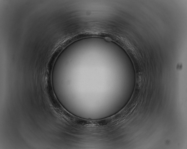 X0000100930544200806241140