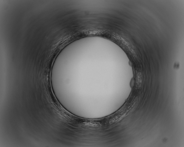 X0000100930545200806241140