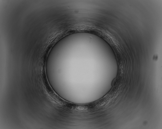 X0000100930546200806241140