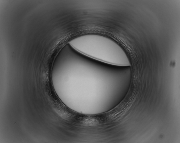 X0000100930547200806241140