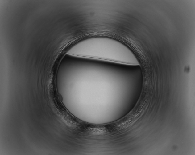 X0000100930548200806241141