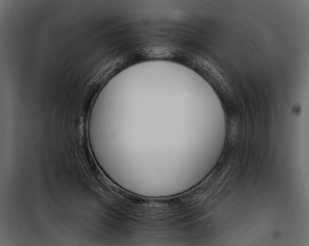 X0000100930549200806241141