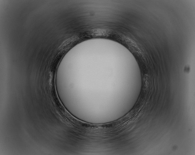 X0000100930550200806241141