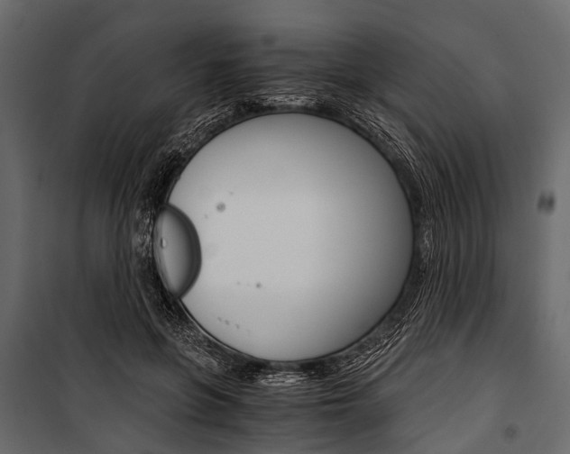 X0000100930551200806241141