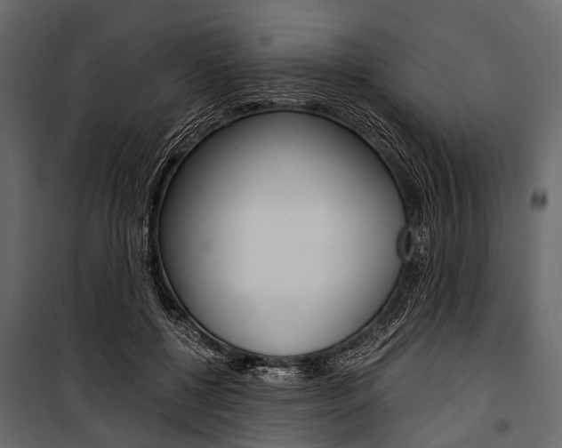 X0000100930552200806241141