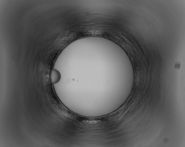 X0000100930553200806241141