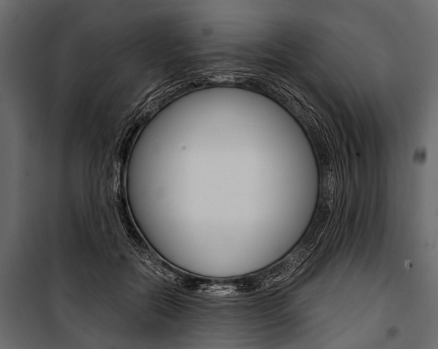 X0000100930554200806241141