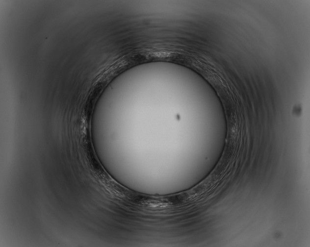 X0000100930555200806241141