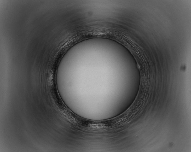 X0000100930556200806241141