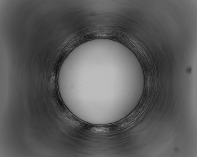 X0000100930557200806241141