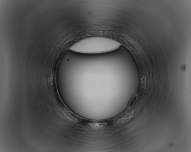 X0000100930558200806241141