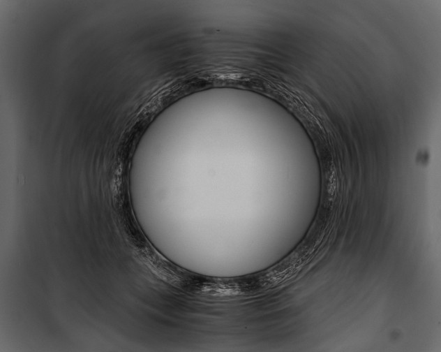 X0000100930559200806241141