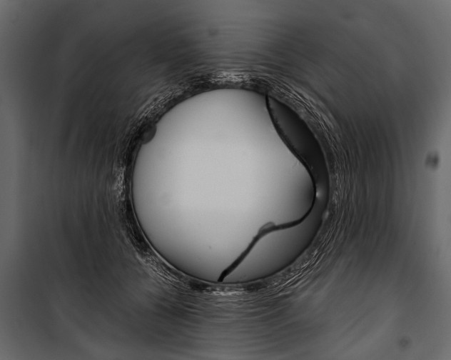 X0000100930560200806241141