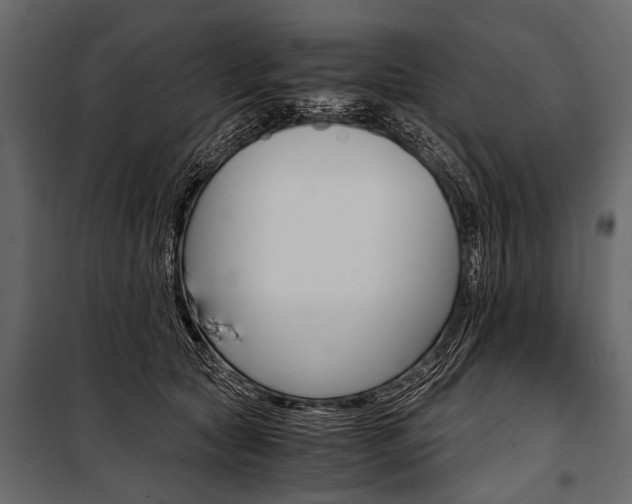 X0000100930561200806241141