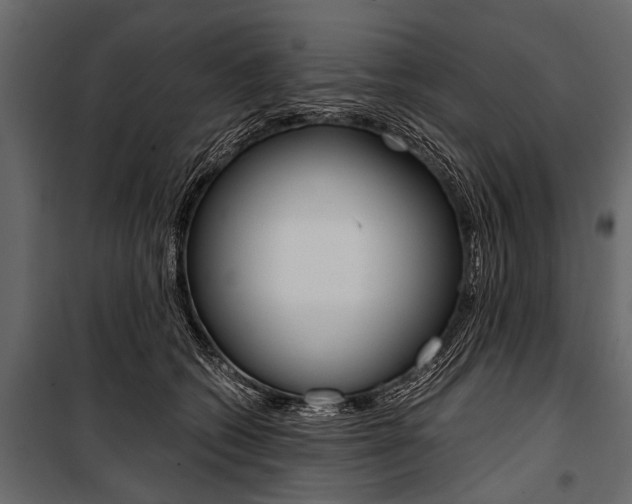 X0000100930562200806241141