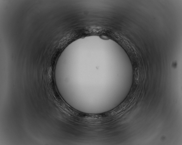 X0000100930563200806241141