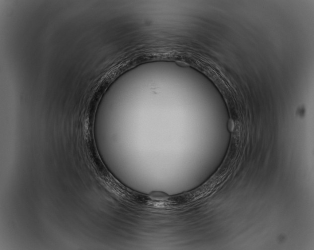 X0000100930564200806241141