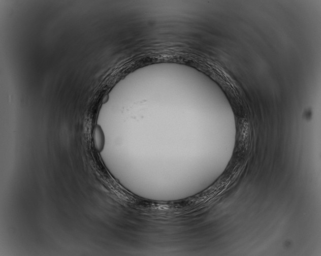 X0000100930565200806241141