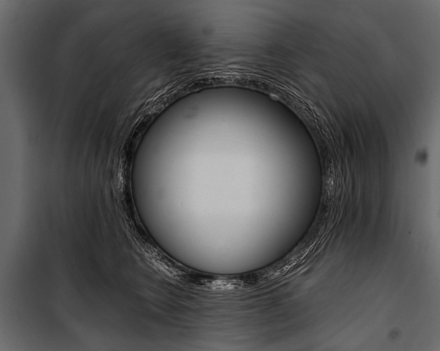 X0000100930566200806241141