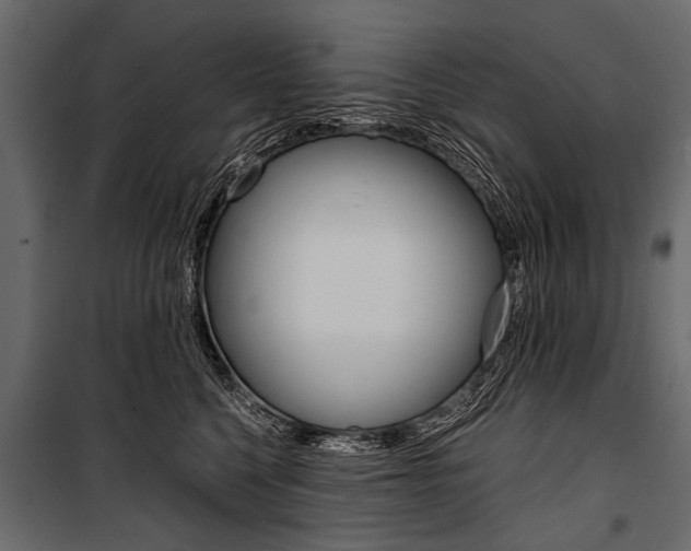 X0000100930568200806241141