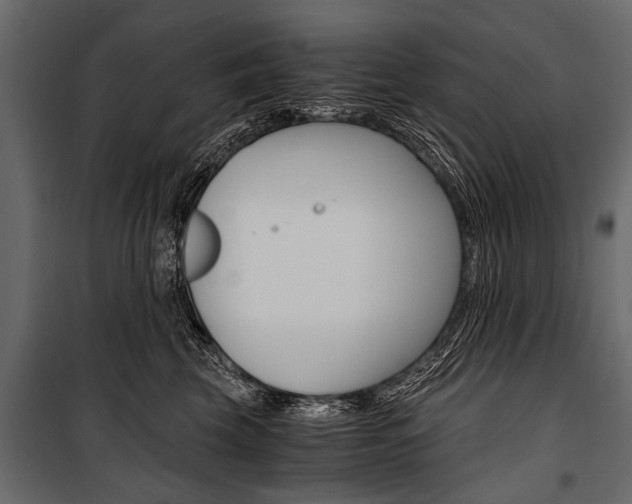 X0000100930569200806241141