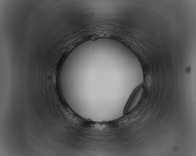 X0000100930570200806241141