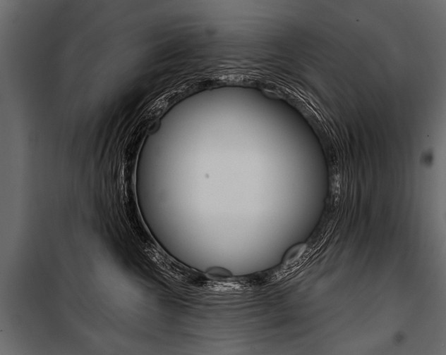 X0000100930572200806241141