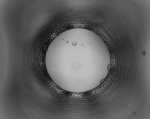 X0000100930573200806241141