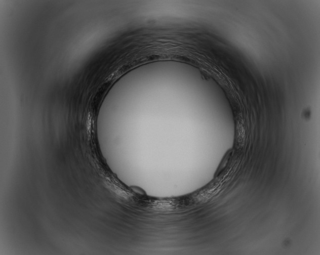 X0000100930574200806241141