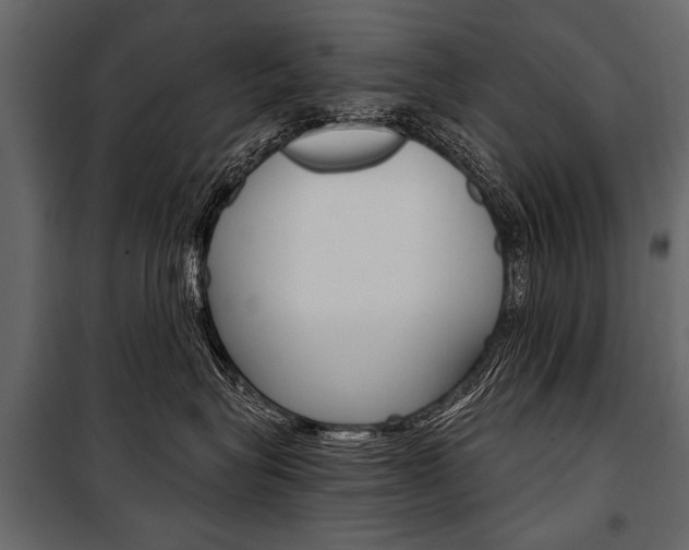 X0000100930575200806241141