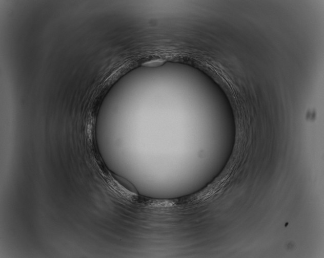 X0000100930576200806241141