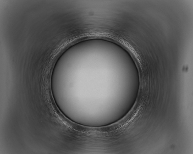 X0000100930577200806241140