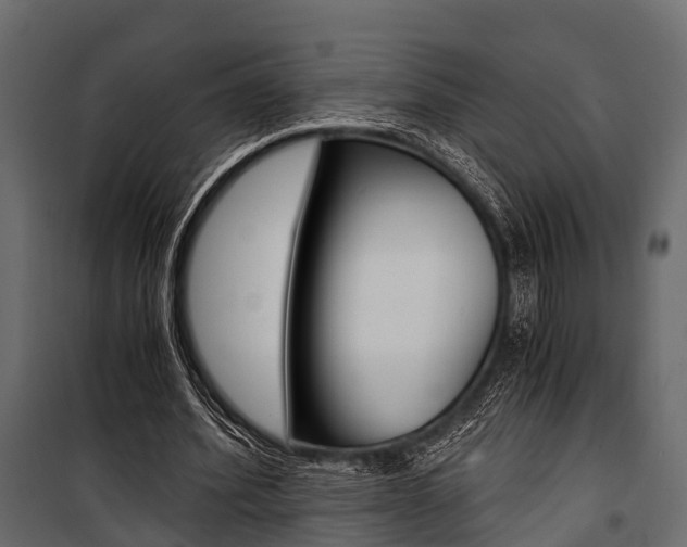 X0000100930580200806241140