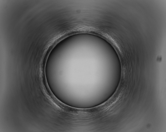 X0000100930581200806241140