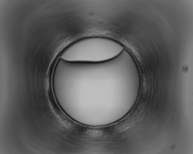 X0000100930582200806241140