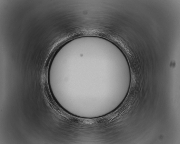 X0000100930583200806241140