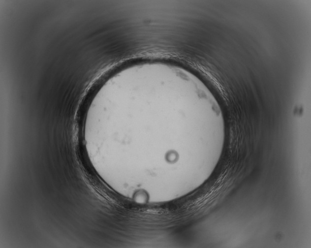 X0000100930584200806241140