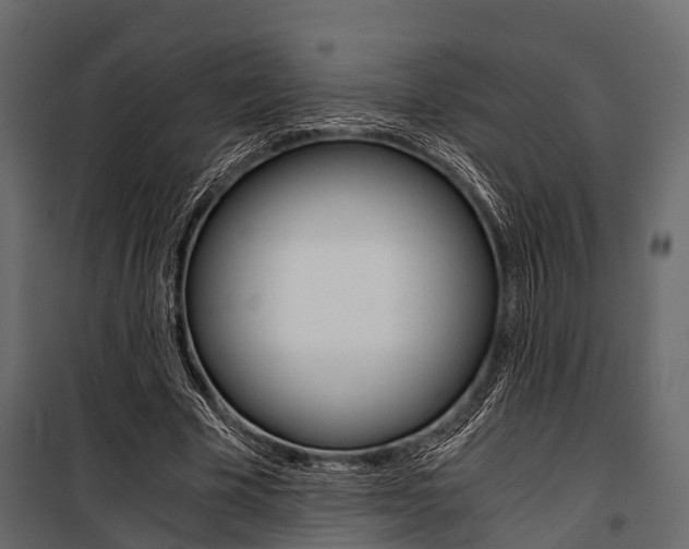 X0000100930585200806241140