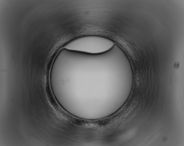 X0000100930586200806241140